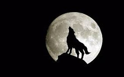 Wolf Moon January 6, 2023