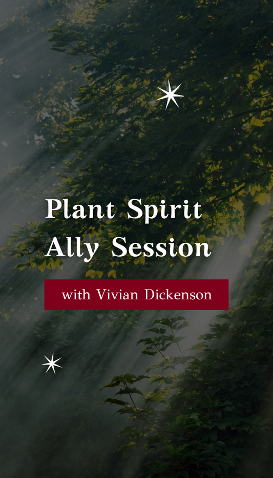 Plant Spirit Ally Session with Vivian Dickinson