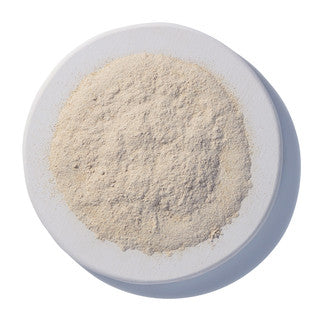 Astragalus Root Powder -  Majix Dragon