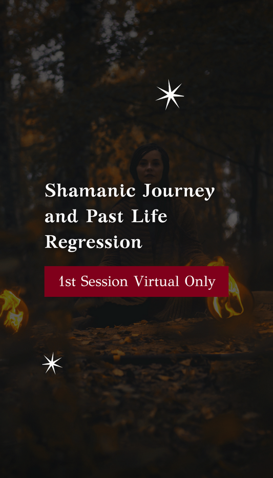 Shamanic Journey and Past Life Regression (1st session virtual only)