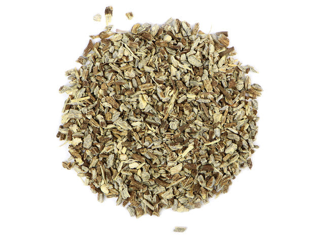 Echinacea Ang Herb -  Majix Dragon